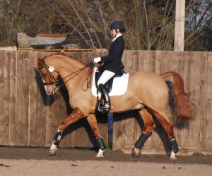 Emma and Andy warming up for the PSG