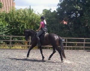 Deluxe August 2013 062a