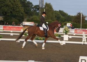 Donald in his prize giving, twit twooo!