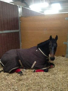 Jack's preparation for his first PSG!