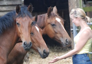 Eeeny meeeny miney mo - just cant decide which one I would like!