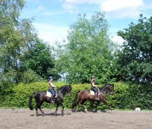 An example of collection & extension in the same pic!