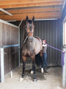 Jack getting spruced up!