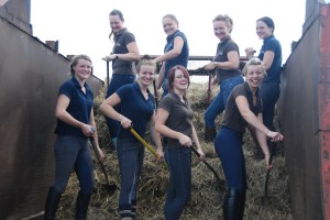 Such a happy workforce shovelling the s**t!