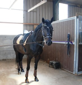 Supermodel Caluna - although she likes her food a bit too much to be a proper supermodel!