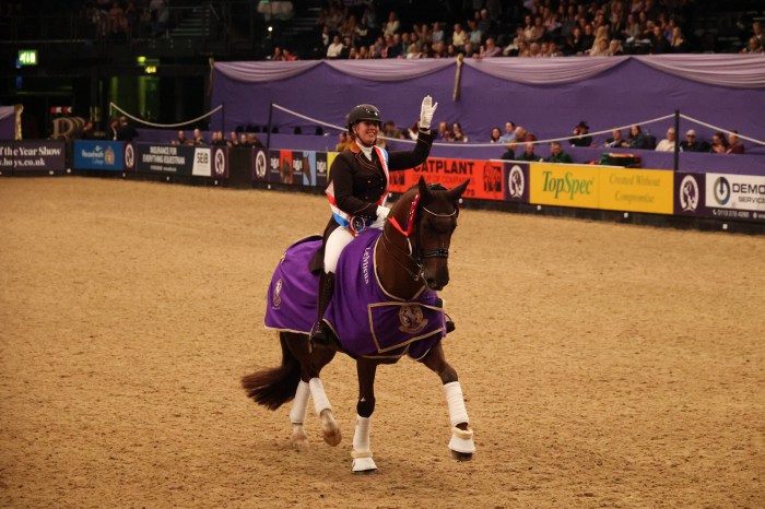 Magic Dream at HOYS